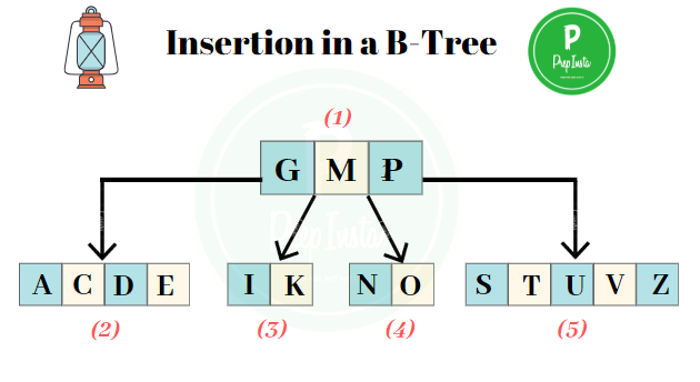 program of insertion and deletion in b tree