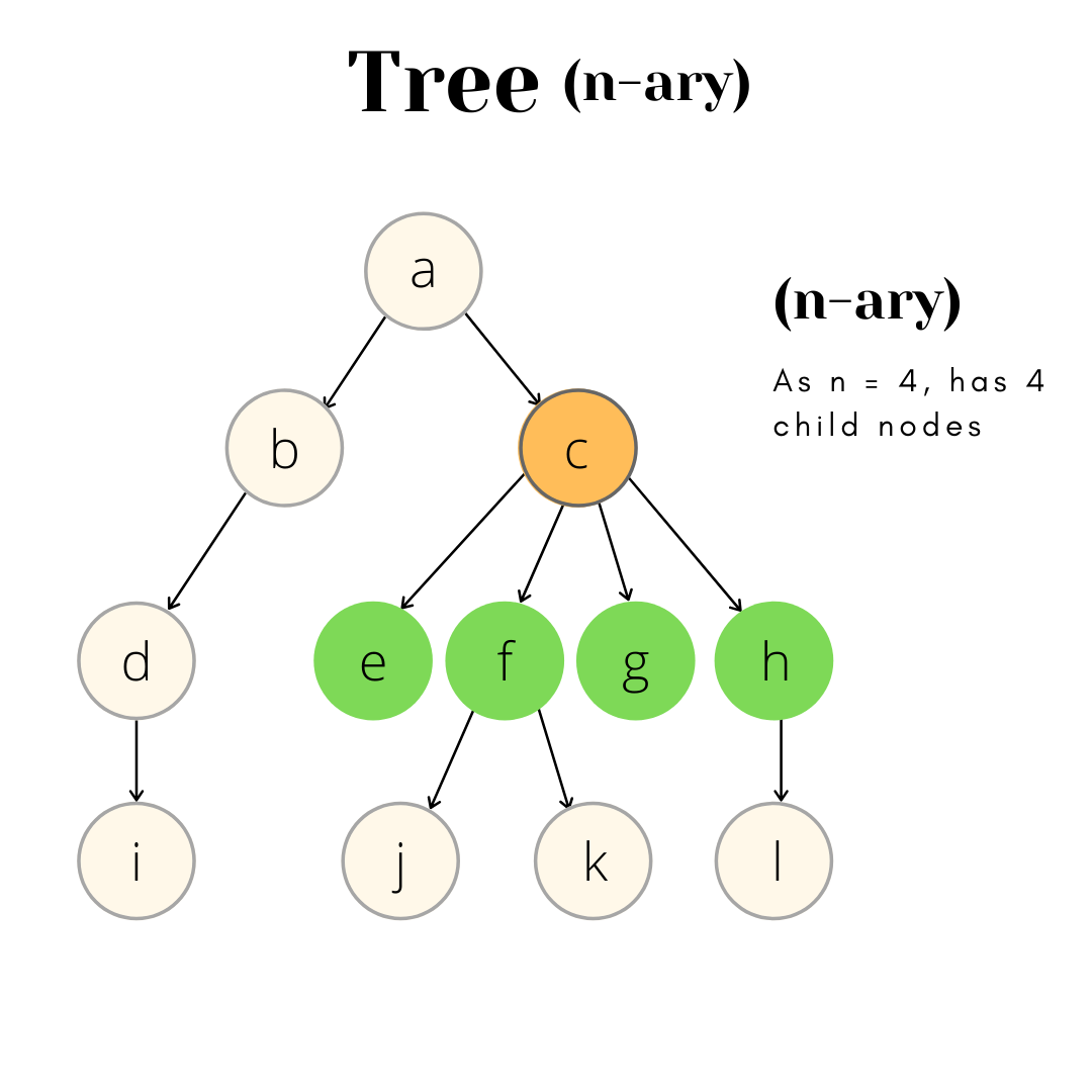 what-is-a-tree-data-structure-web-development-discussion-forum