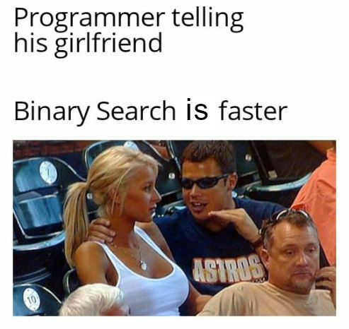 Binary Search in C Meme
