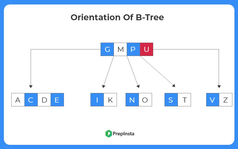 Second Orientation - C++ Program To Insert In Btree