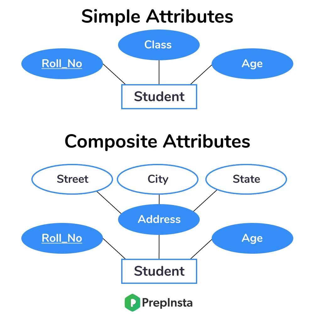 Simple and Composite Attributes