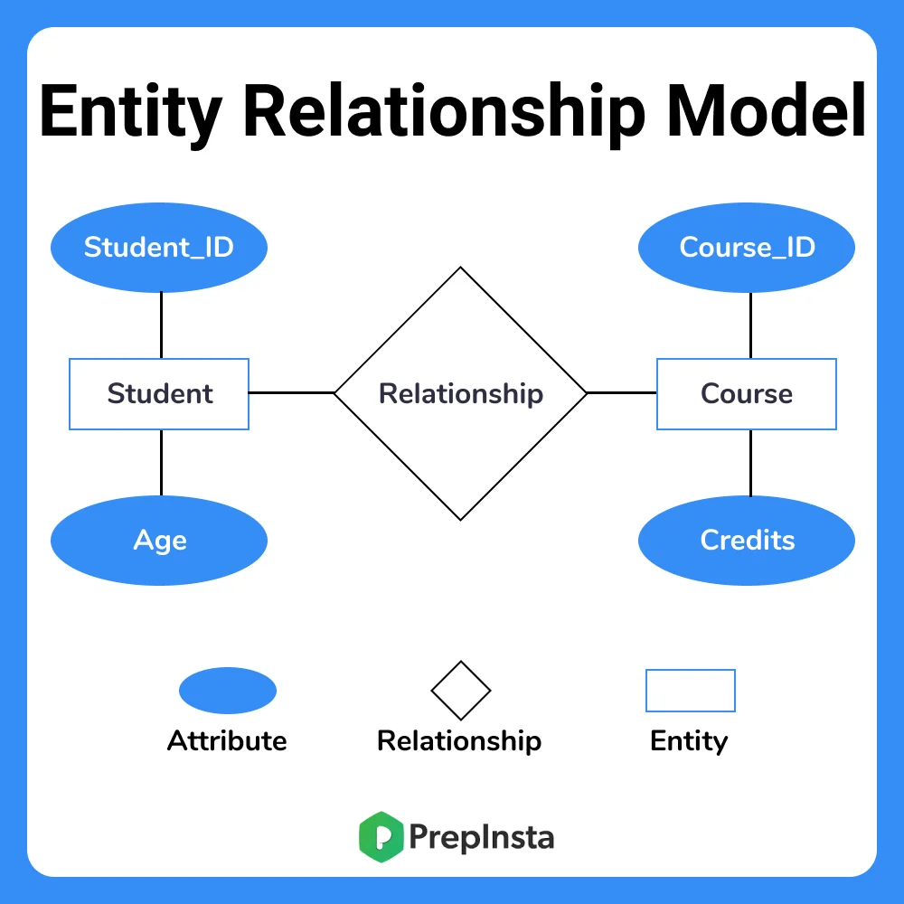 Entity Relationship Data Models in DBMS