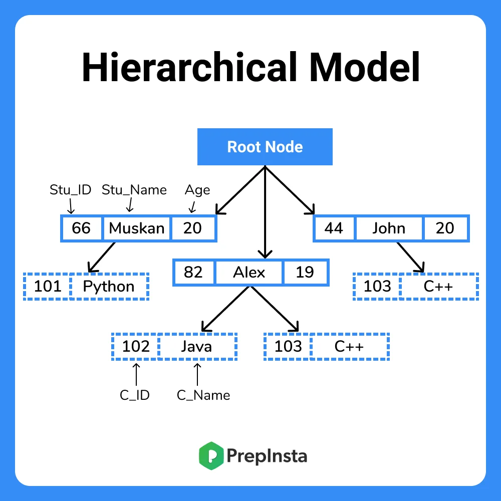 Hierarchical Model in DBMS