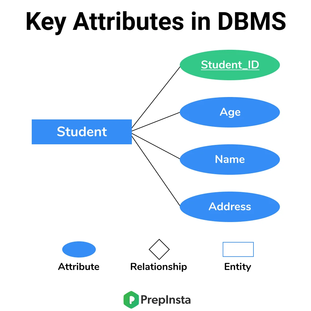 Key Attributes in DBMS