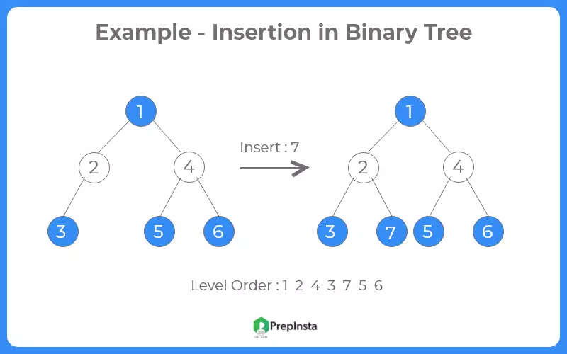 Insertion in Binary Tree in Java