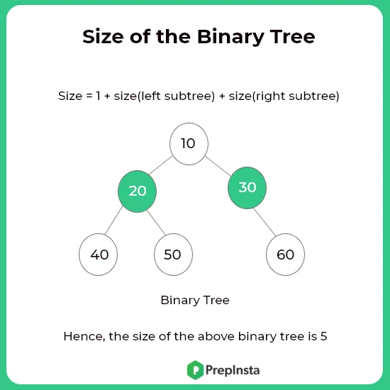 size of binary tree in c