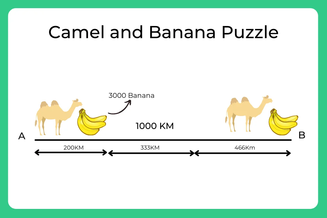 The owner of a banana plantation has a camel.