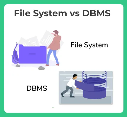 File System vs DBMS