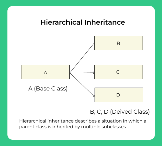 Hierarchical inheritance in C++