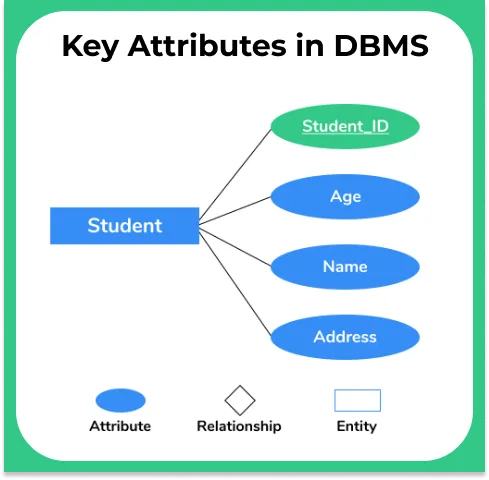 Key Attributes in DBMS image