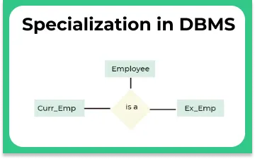 What is Specialization in DBMS