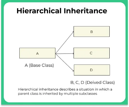 Hierarchical Inheritance