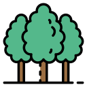Preorder Tree Traversal in Binary Tree in C